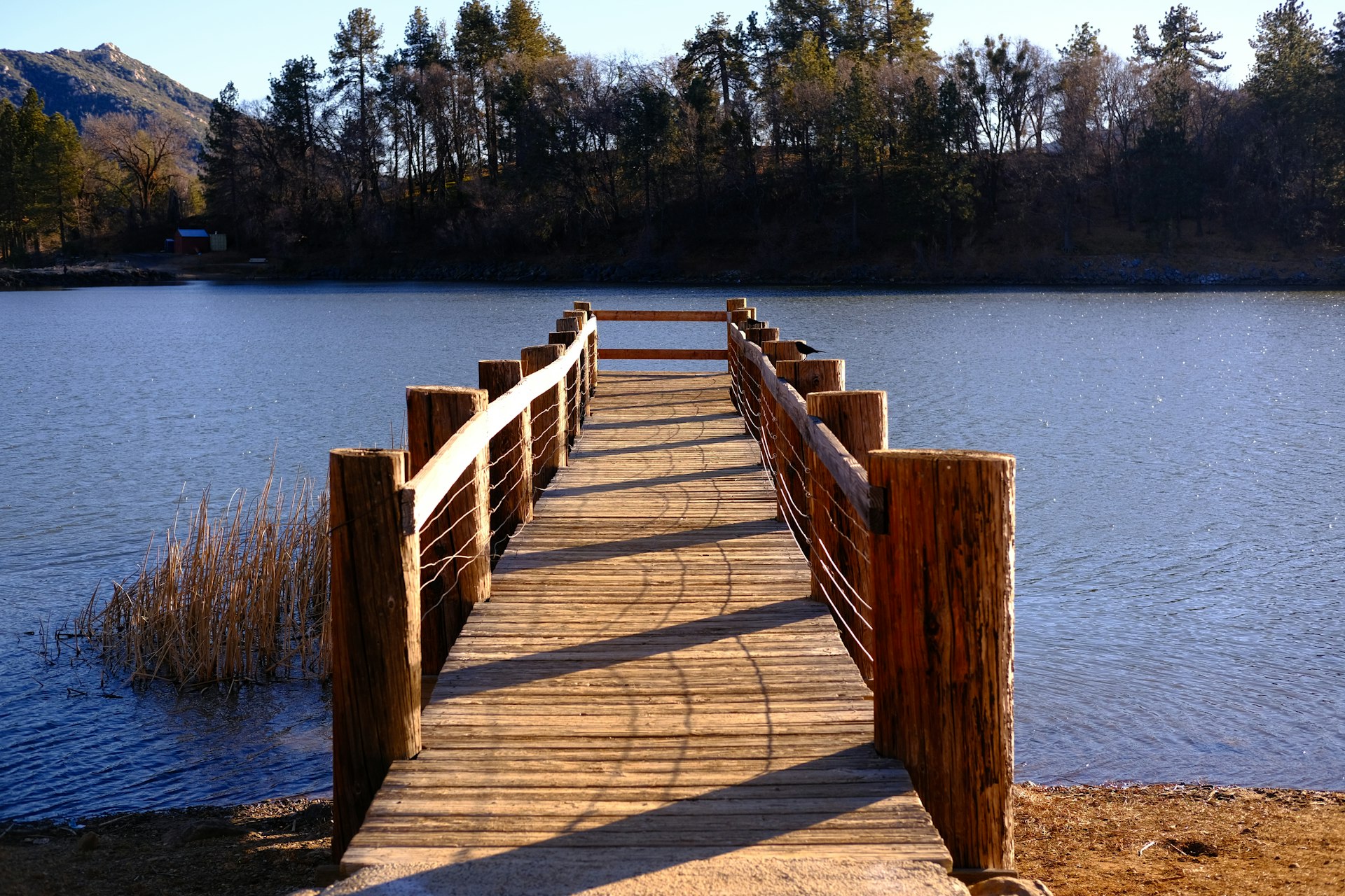 a wooden bridge over a body of water